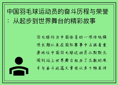 中国羽毛球运动员的奋斗历程与荣誉：从起步到世界舞台的精彩故事